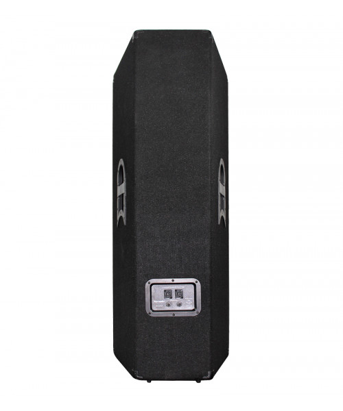 COLUMNA PASIVA DOBLE 15"