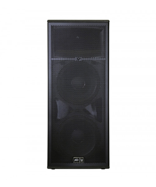 COLUMNA PASIVA DOBLE 15''...