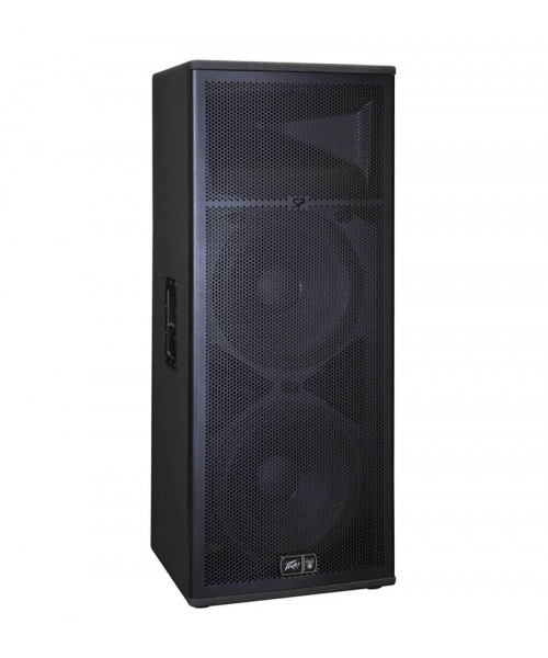 COLUMNA PASIVA DOBLE 15''...