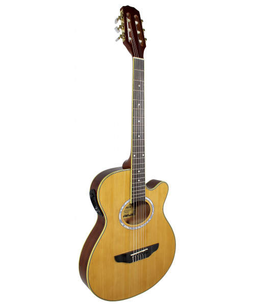 GUITARRA ELECTRO ACUSTICA...