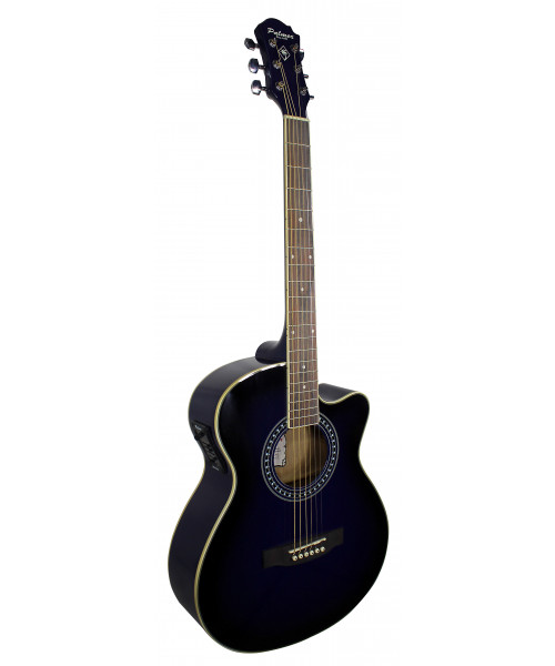 GUITARRA ELECTRO ACUSTICA...