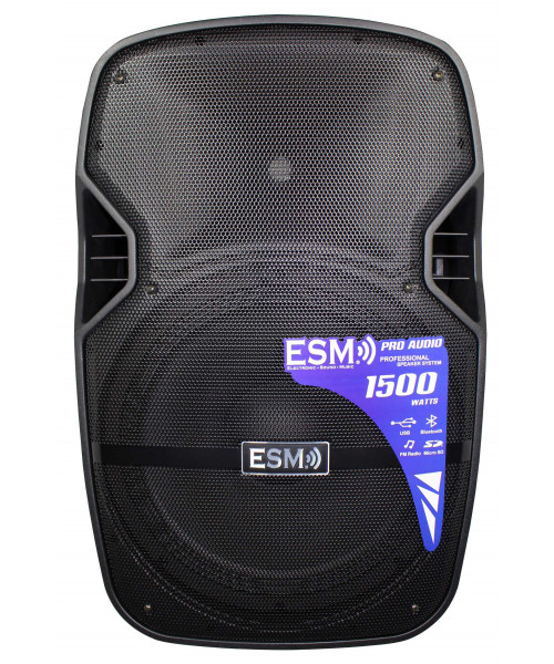 COLUMNA AMPLIFICADA 15" CON...