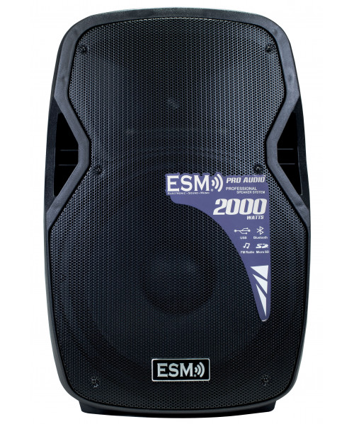 COLUMNA AMPLIFICADA 15" CON...