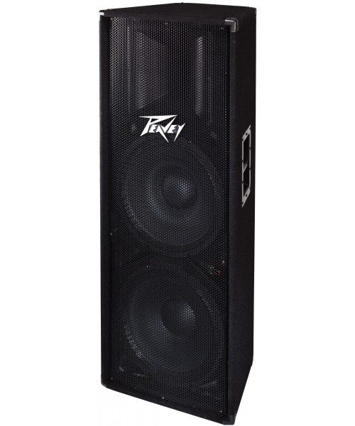 COLUMNA PASIVA DOBLE 15''...