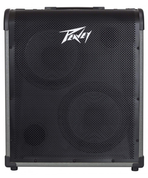 AMPLIFICADOR PARA BAJO 300W