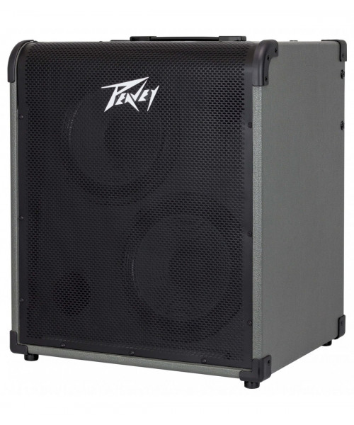 AMPLIFICADOR PARA BAJO 300W