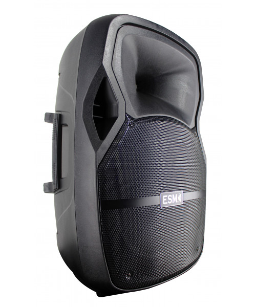 COLUMNA AMPLIFICADA DE 15"