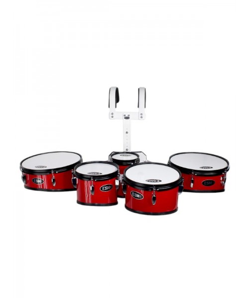 TAROLA DE 5 PCS (6", 8",...