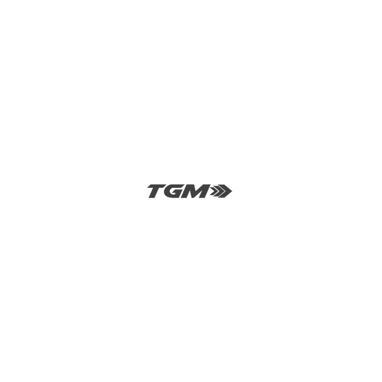 TGM 3
