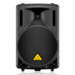 COLUMNA AMPLIFICADA 12" 550W