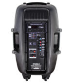 COLUMNA AMPLIFICADA 15" RECARGABLE CON LUZ ,USB, SD, FM, BT + STAND + MIC. - Imagen 2