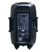COLUMNA AMPLIFICADA 15" CON USB,SD,FM,BT+MIC+STAND - Imagen 3