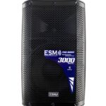 COLUMNA AMPLIFICADA 10" CON USB, SD, FM, BT