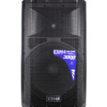 COLUMNA AMPLIFICADA 15" CON BT