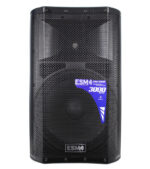 COLUMNA AMPLIFICADA 15" CON BT