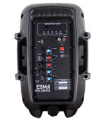 COLUMNA AMPLIFICADA 8" RECARGABLE CON USB, BT + MIC. - Imagen 3