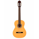 GUITARRA CLASICA 39'' CON FORRO