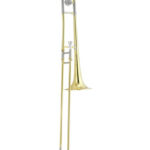 TROMBONE CON CASE