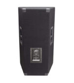 COLUMNA PASIVA 15'' 800W 8 OHM - Imagen 3