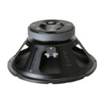 PARLANTE 12" 800W 8 OHM
