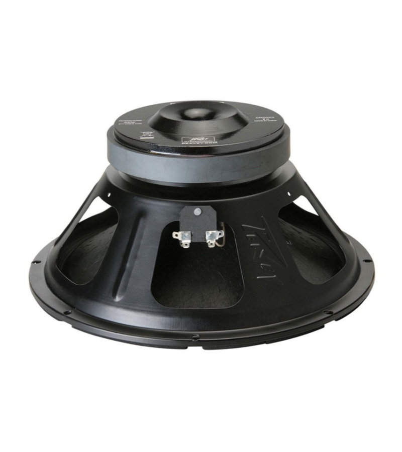 PEA-PVI-PRO12 PARLANTE 12" 800W 8 OHM - Imagen 1