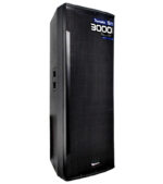 COLUMNA AMPLIFICADA DOBLE 15'' - Imagen 2