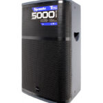 COLUMNA AMPLIFICADA 15" CLASE D