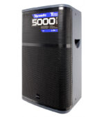 COLUMNA AMPLIFICADA 15" CLASE D