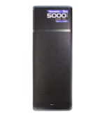 COLUMNA AMPLIFICADA DOBLE 15'' CLASE D