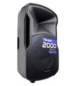 COLUMNA AMPLIFICADA 15" CON USB, SD, FM, BT - Imagen 2
