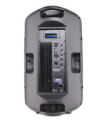 COLUMNA AMPLIFICADA 15" CON USB, SD, FM, BT - Imagen 4