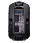 COLUMNA AMPLIFICADA 15" CON USB, SD, MP3, FM, BT - Imagen 3