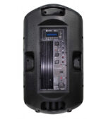 COLUMNA AMPLIFICADA 15" CON USB, SD, MP3, FM, BT - Imagen 3