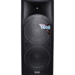 COLUMNA PASIVA DOBLE 15"