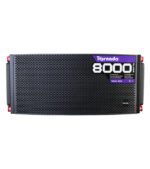 COLUMNA AMPLIFICADA 10" PARA LINE ARRAY CLASE D
